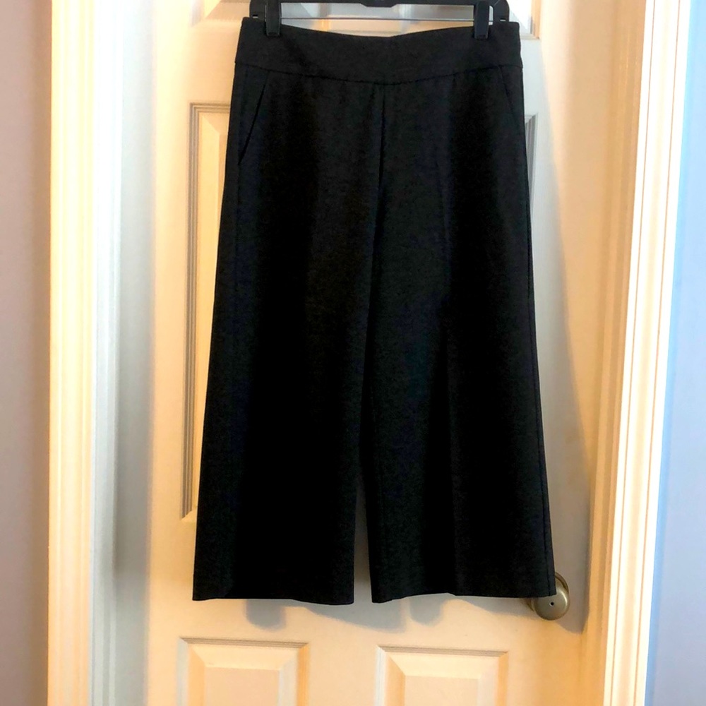 Cabi Gaucho Pants